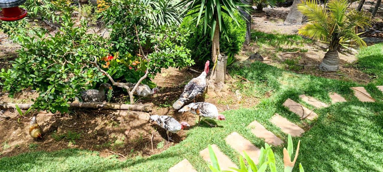 Casa Los Polveros Fuencaliente de la Palma Bagian luar foto